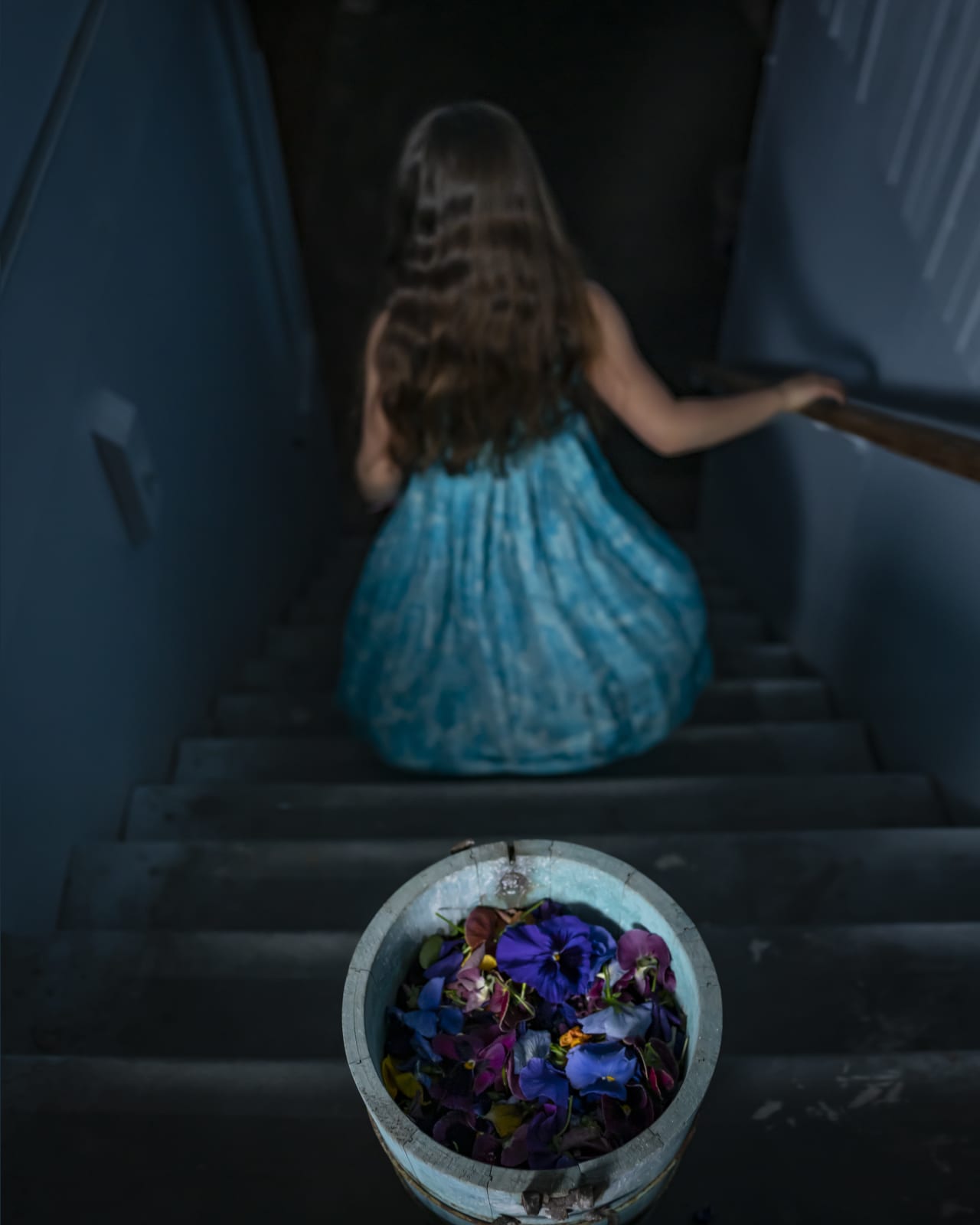 Cig Harvey, Scout and The Pansies, 2020