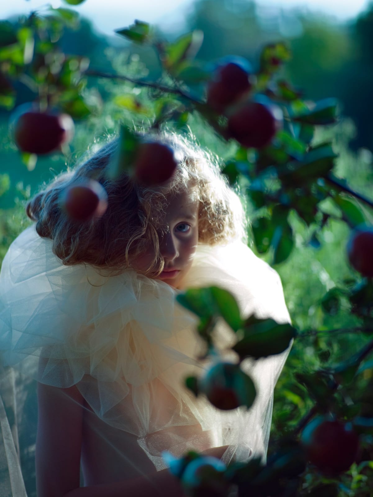 Edith Maybin, Untitled #9, The Garden Document , 2010