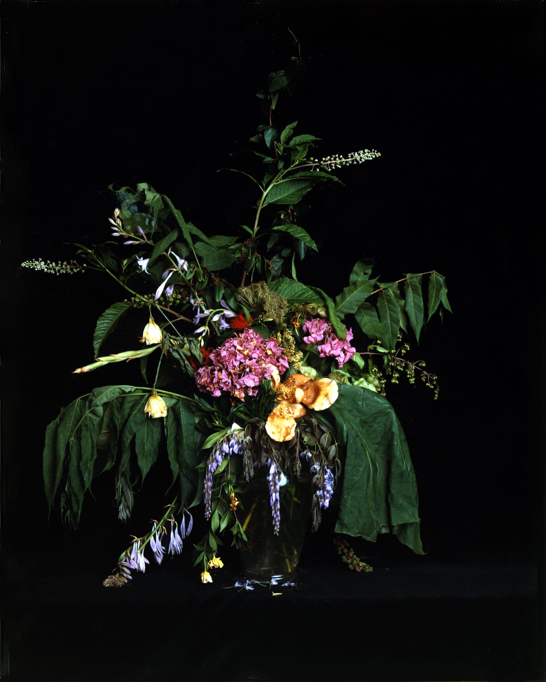 Angela West, Summer Still Life #4, From the series: Nature Morte, 2004