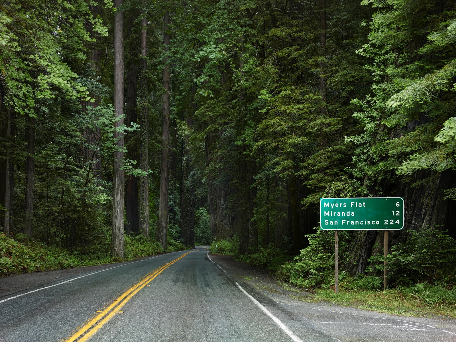 Josef Hoflehner, Redwood Highway, Humboldt County, California, 2013