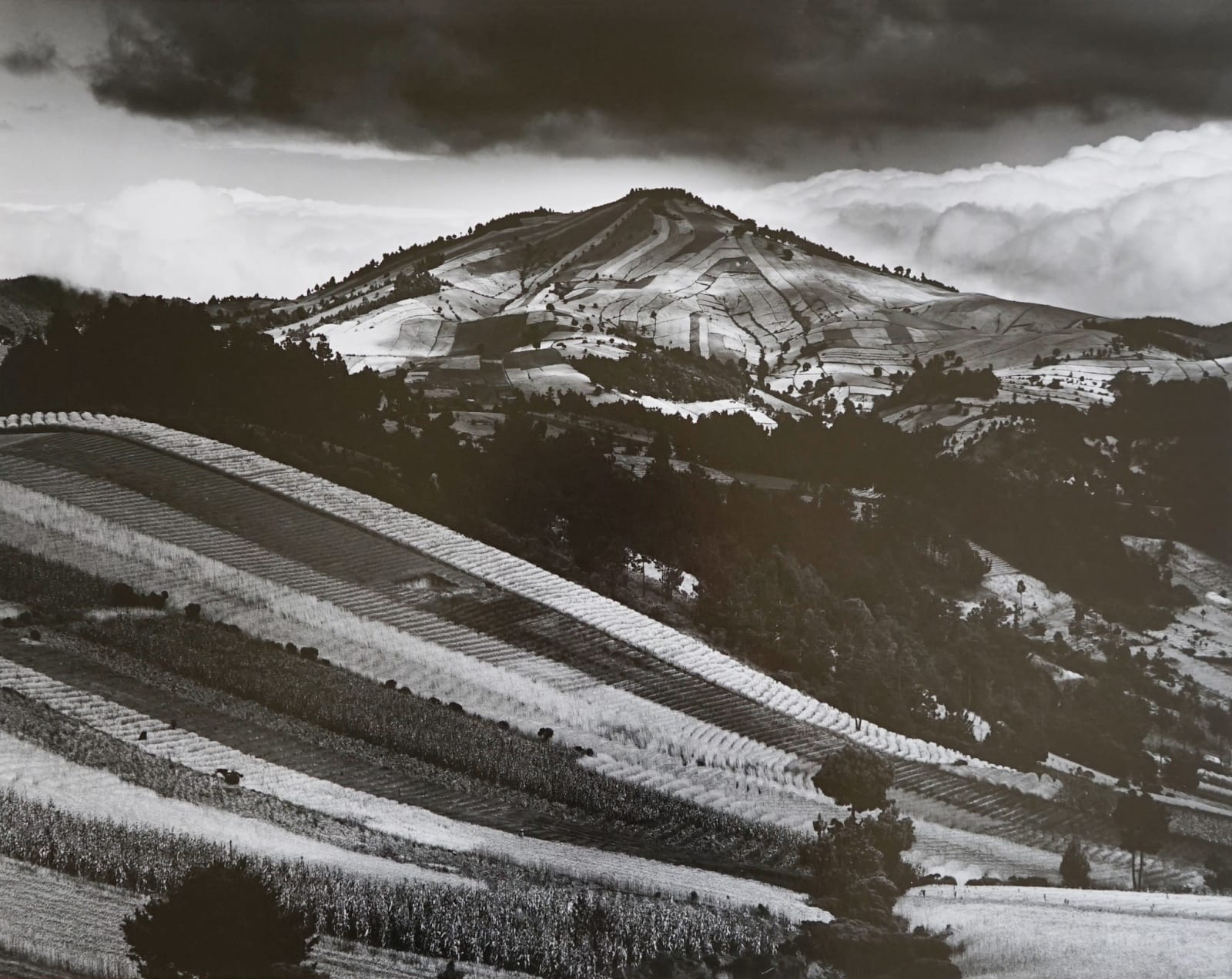 Brett Weston, Guatemala Landscape, 1968
