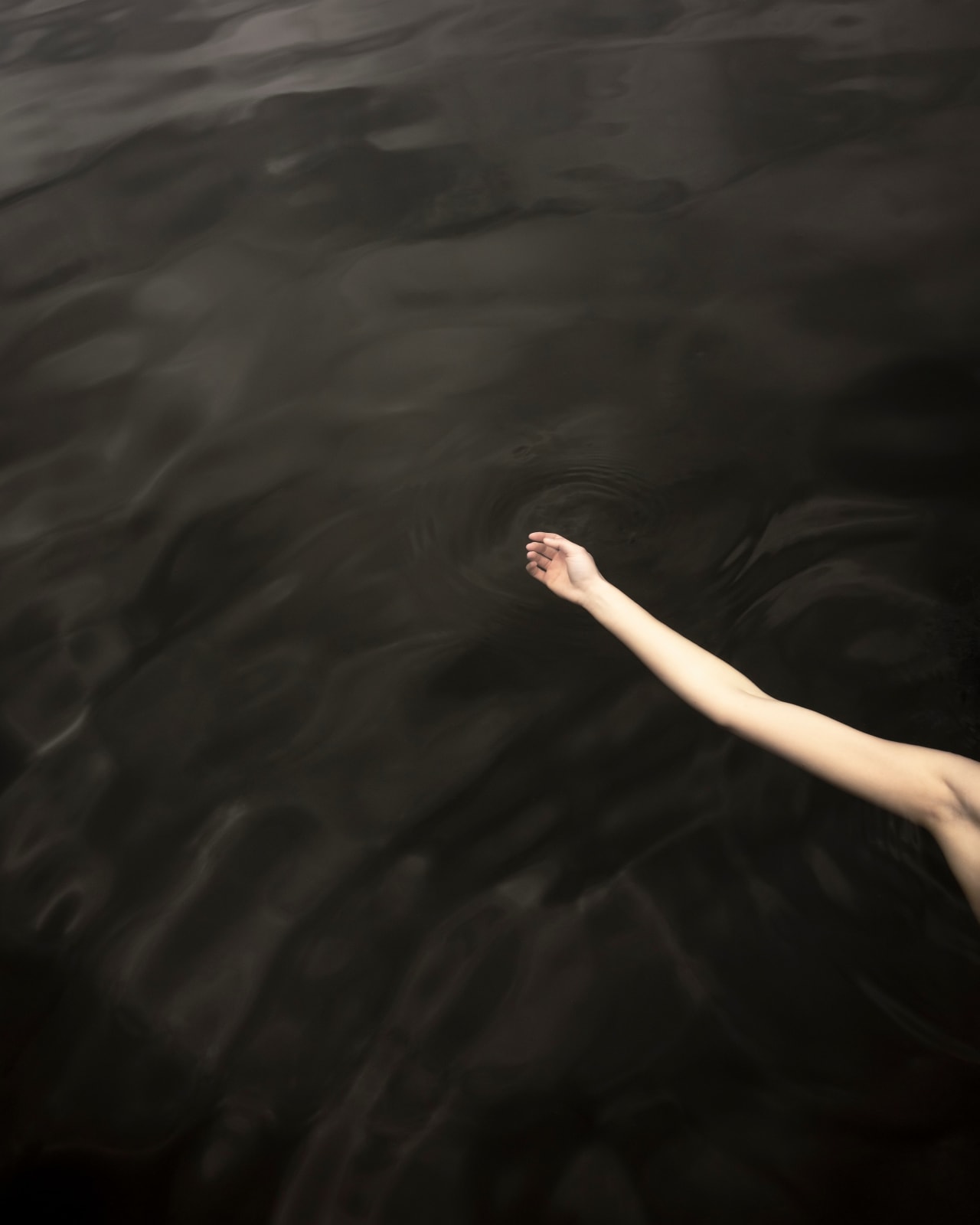 Cig Harvey, The Lake, (Touch) Lincolnville, Maine, 2019