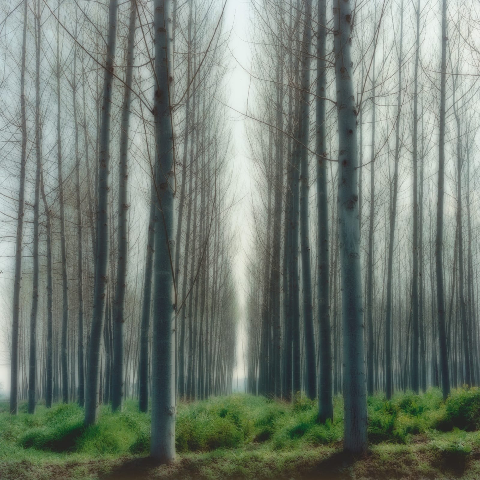 Lynn Geesaman, Andalucia, Spain, (3-02-34c-12), 2002