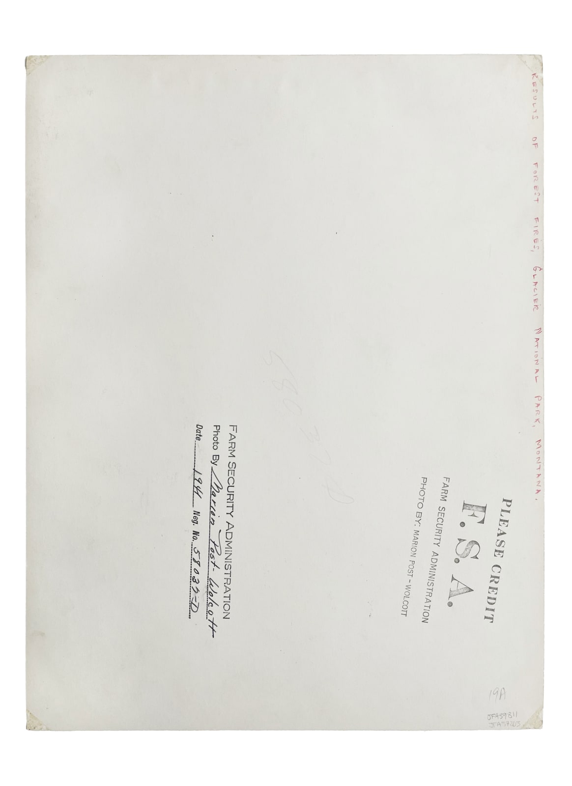 Marion Post Wolcott, Results of Forest Fire, Glacier National Park, Montana (FSA #58037-D), 1941