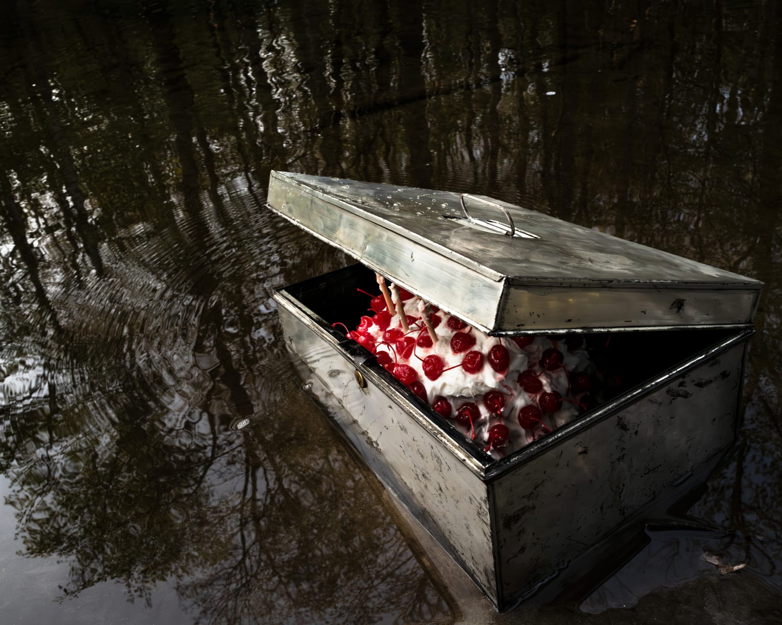 Cig Harvey, Cherry Cake, Rockport, Maine, 2023
