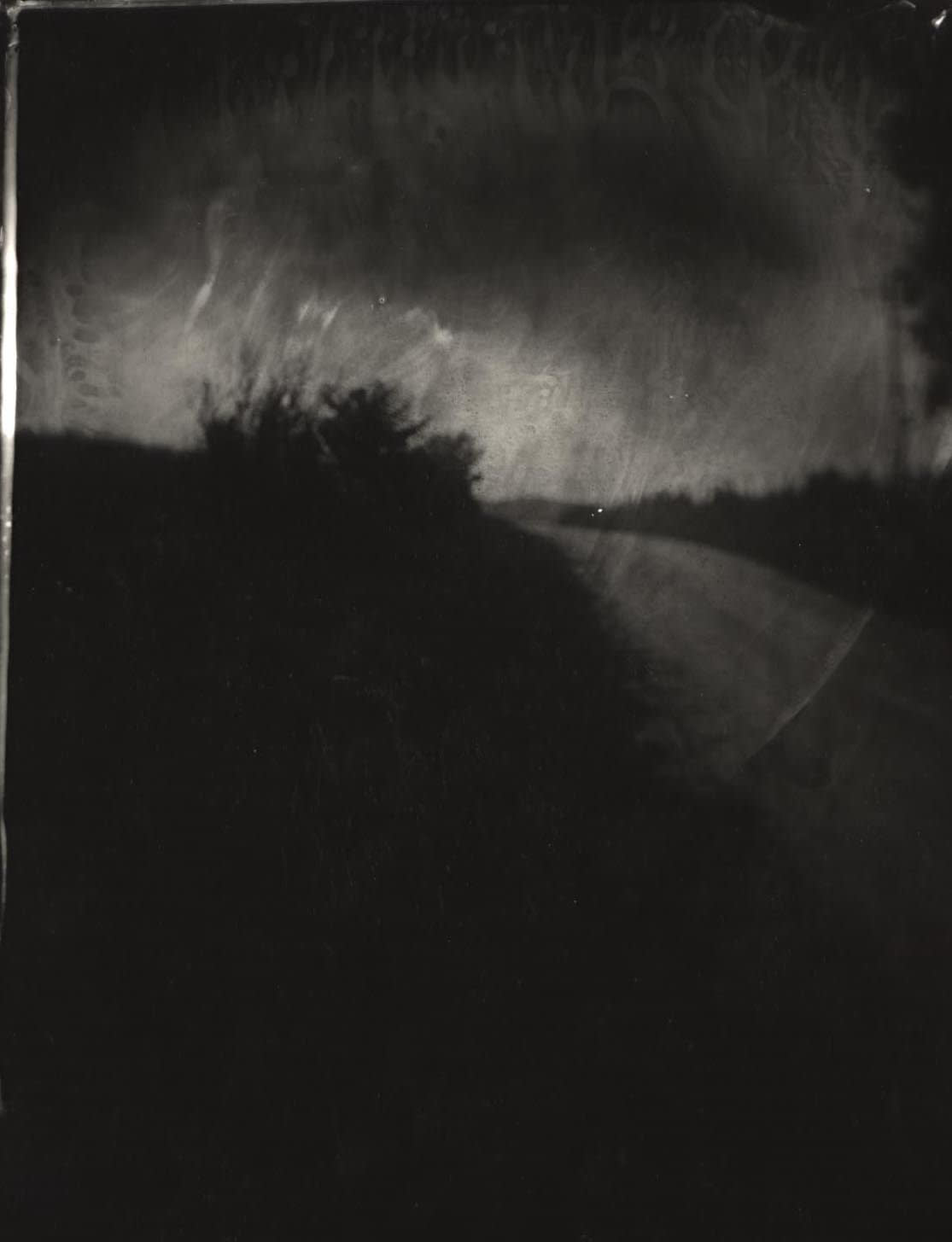 Sally Mann, Untitled (Wilderness #19), 2001