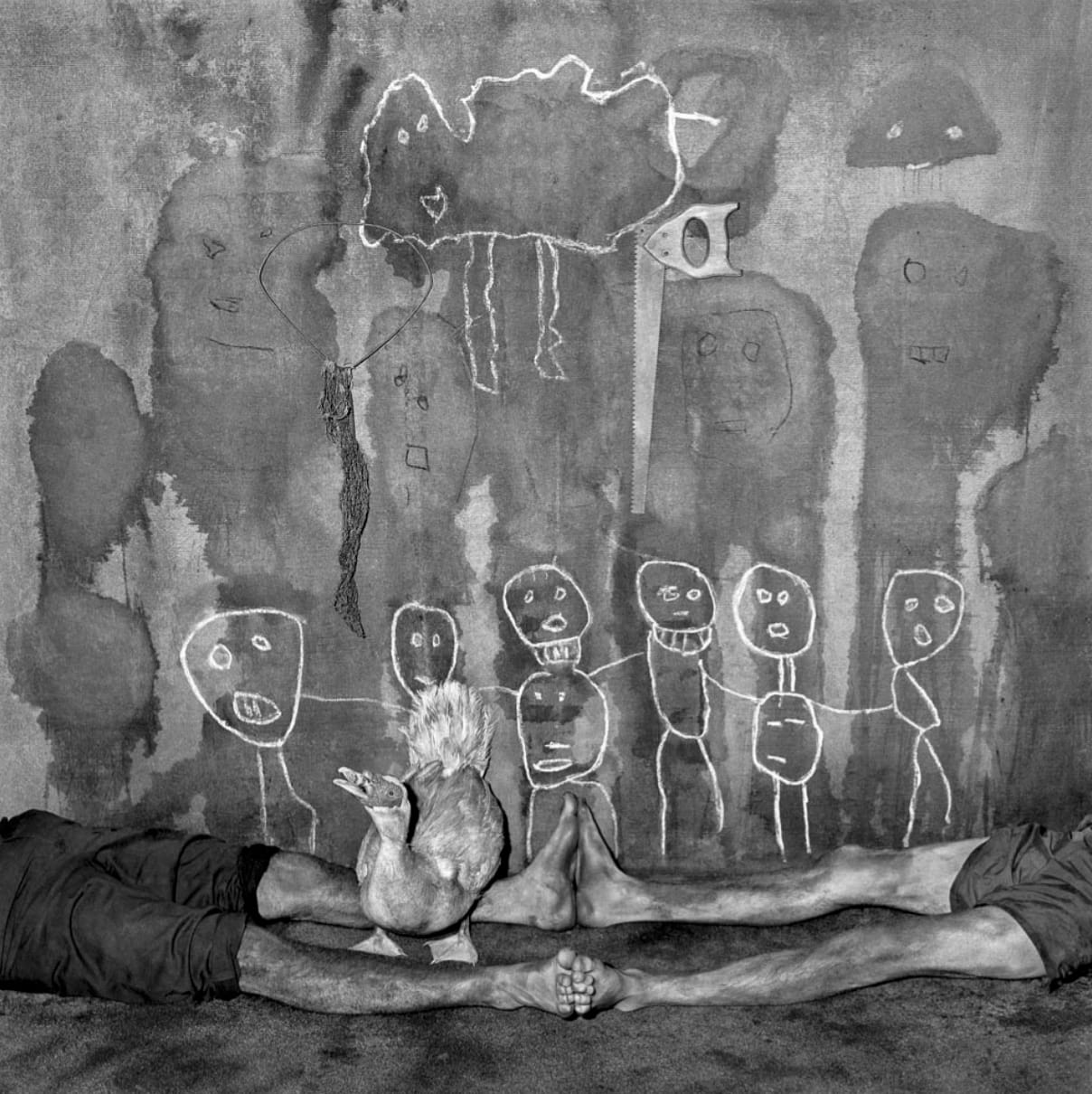 Roger Ballen, Squawk, 2005