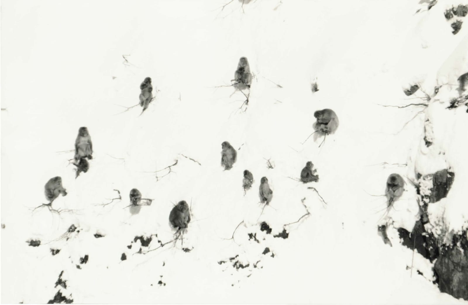 Yamamoto Masao, Kawa=Flow #1544