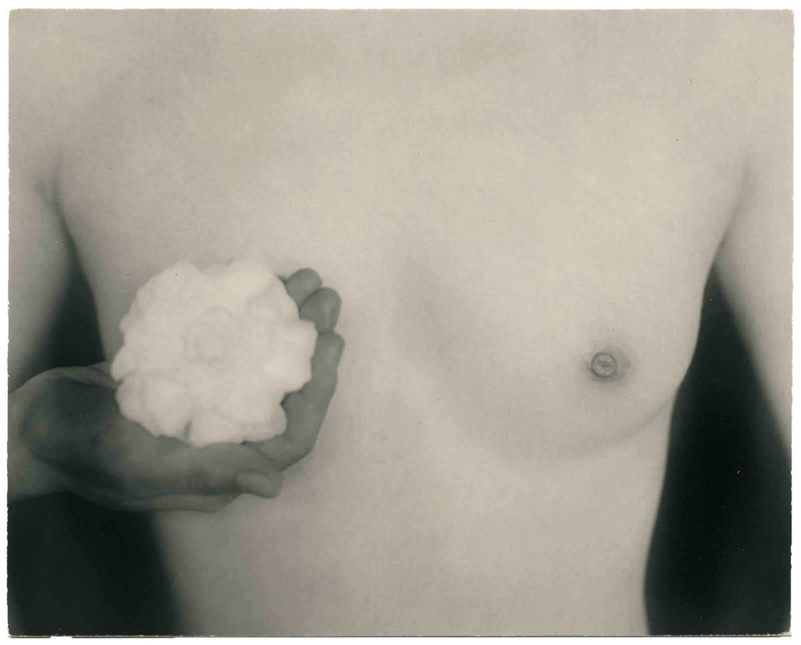 Yamamoto Masao, Nakazora #1144