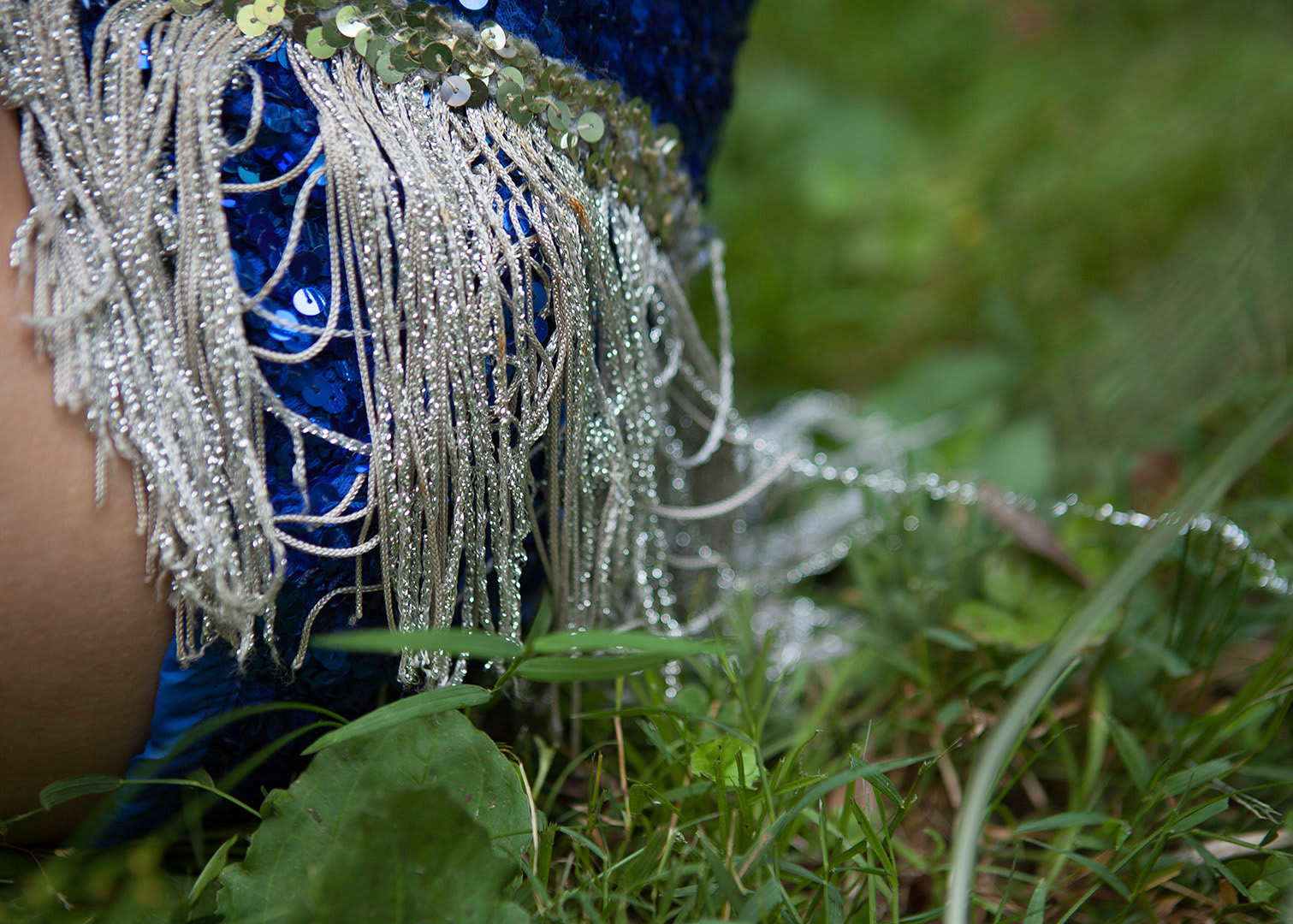 Christy Bush, Grass Tassels, 2014