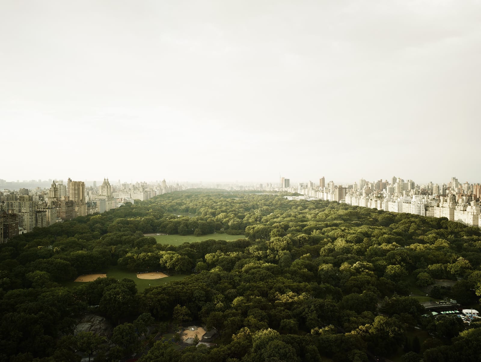 Josef Hoflehner, Central Park, New York, 2011