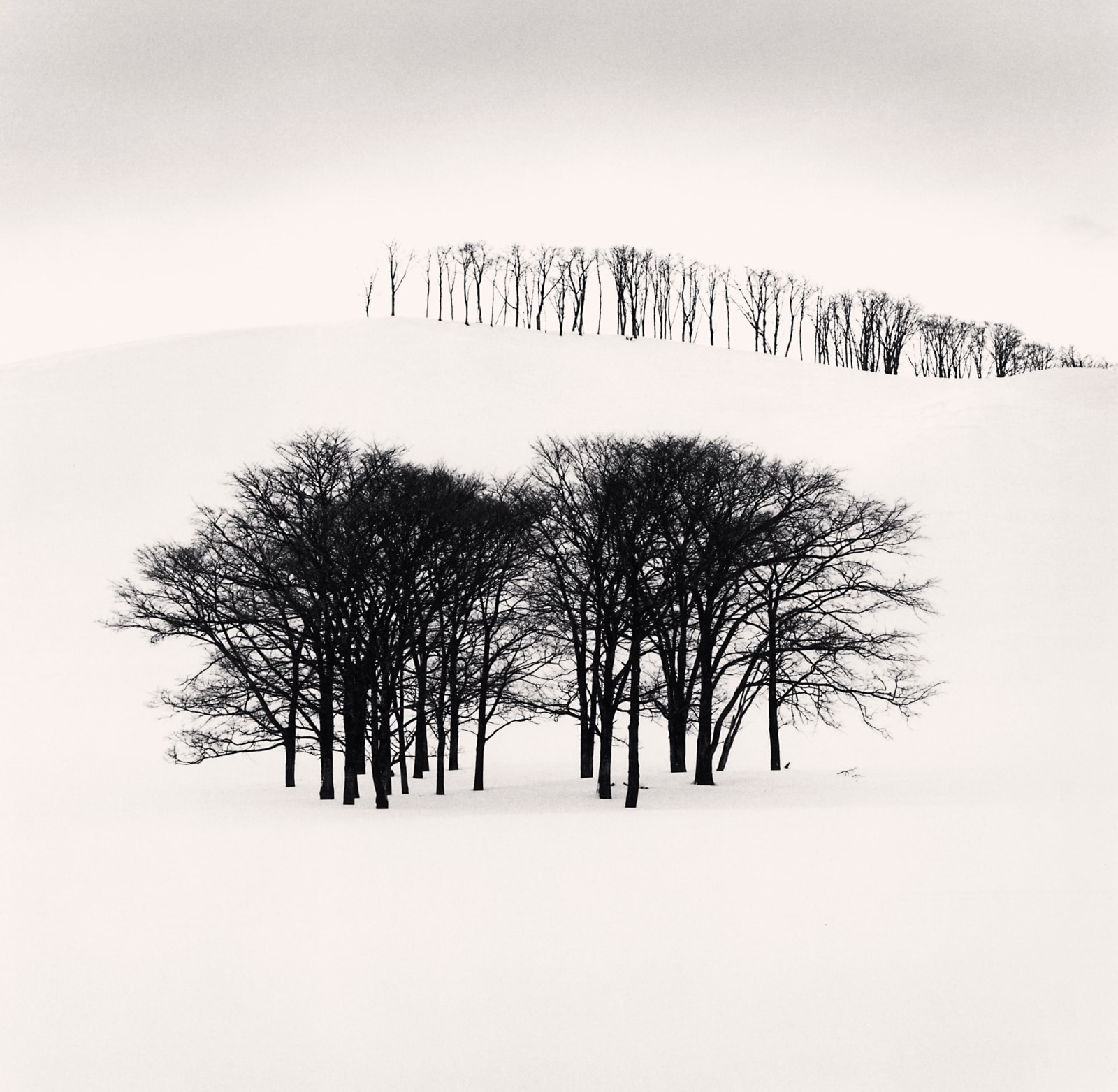 Michael Kenna, Hilltop Trees, Study 3, Teshikaga, Hokkaido, Japan, 2004