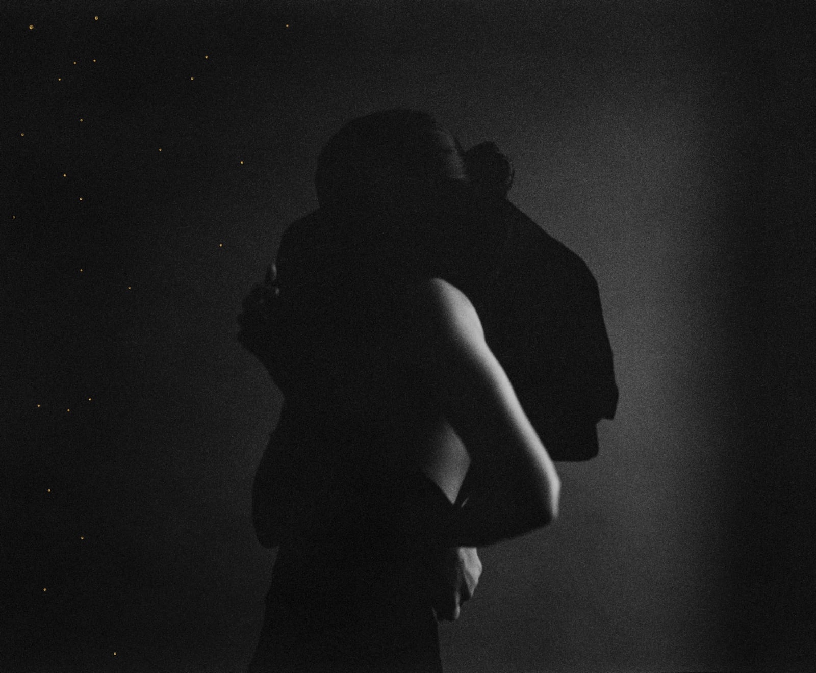 Andrea Torres Balaguer, Magnolia, 2019