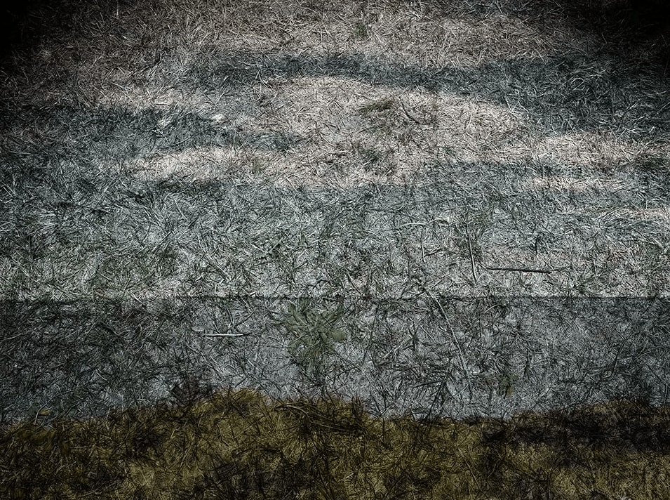 Abelardo Morell, Tent-Camera Image on Ground: View of the Sea from Winslow Homers Studio backyard, Prouts Neck Maine, 2012