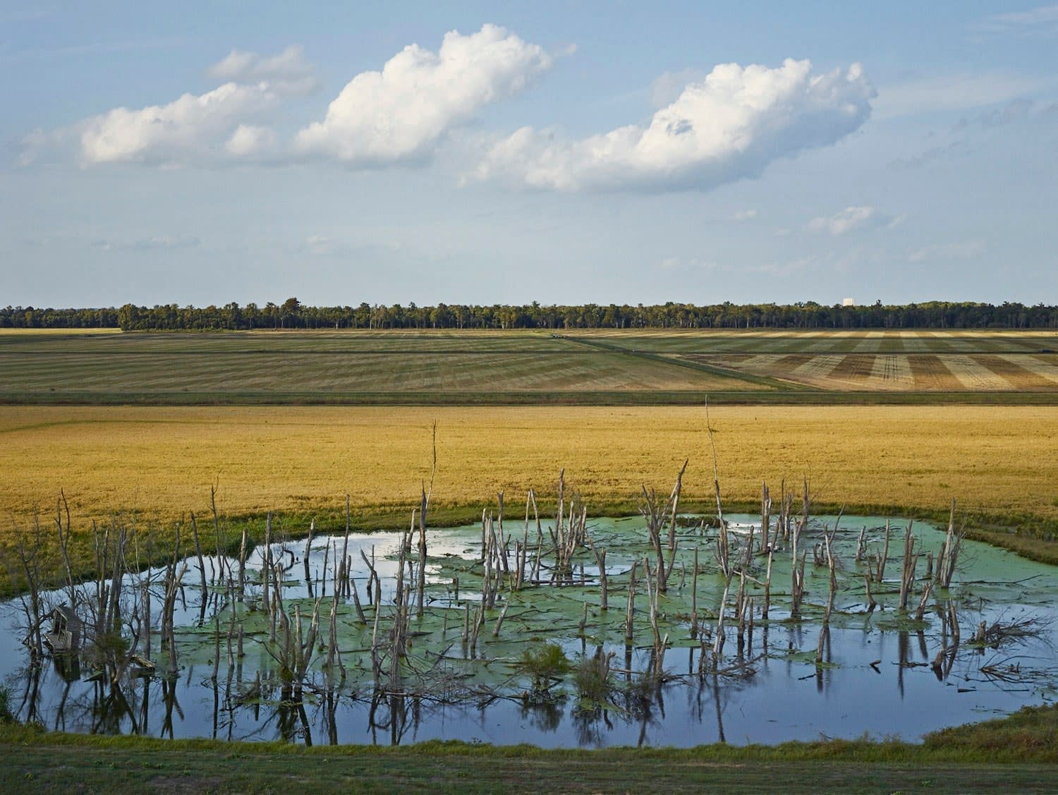 Andrew Moore, Tunica, MS, 2014