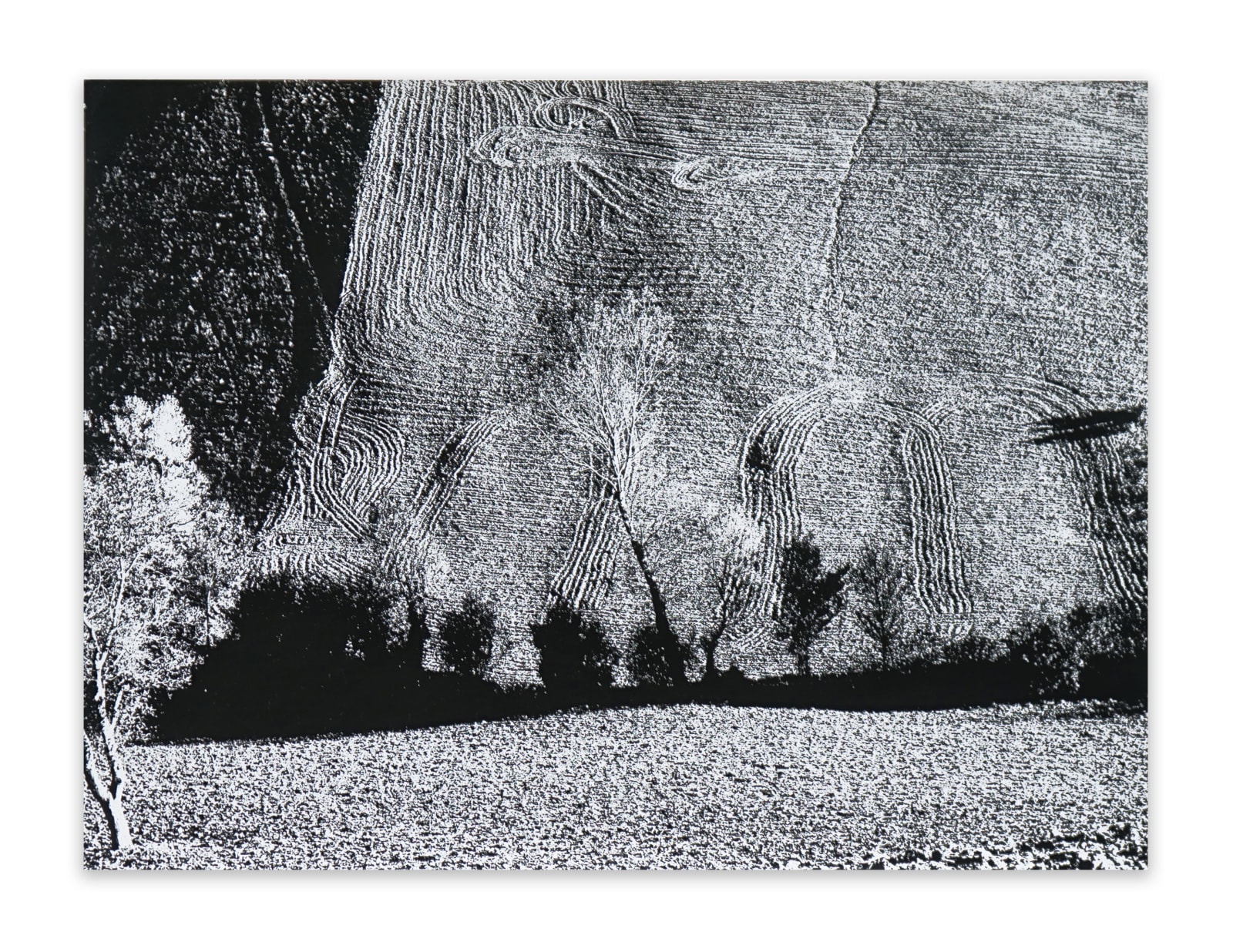 Mario Giacomelli, Ottobre 4 (PAS. 10), 1972