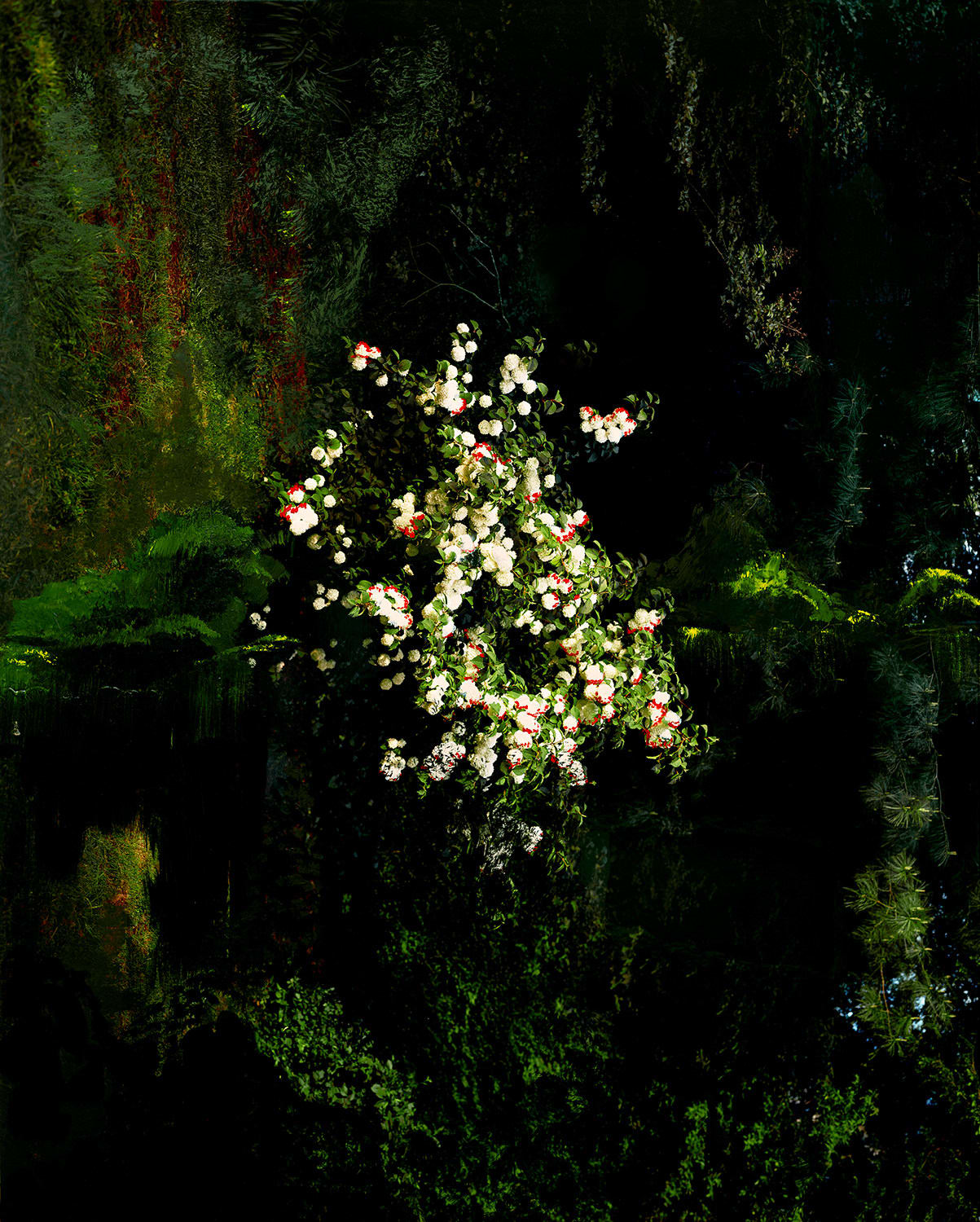 Angela West, I hope you Get the Point, 2024