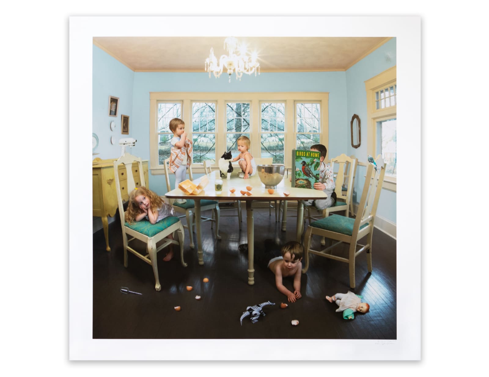 Julie Blackmon, Birds at Home, 2007