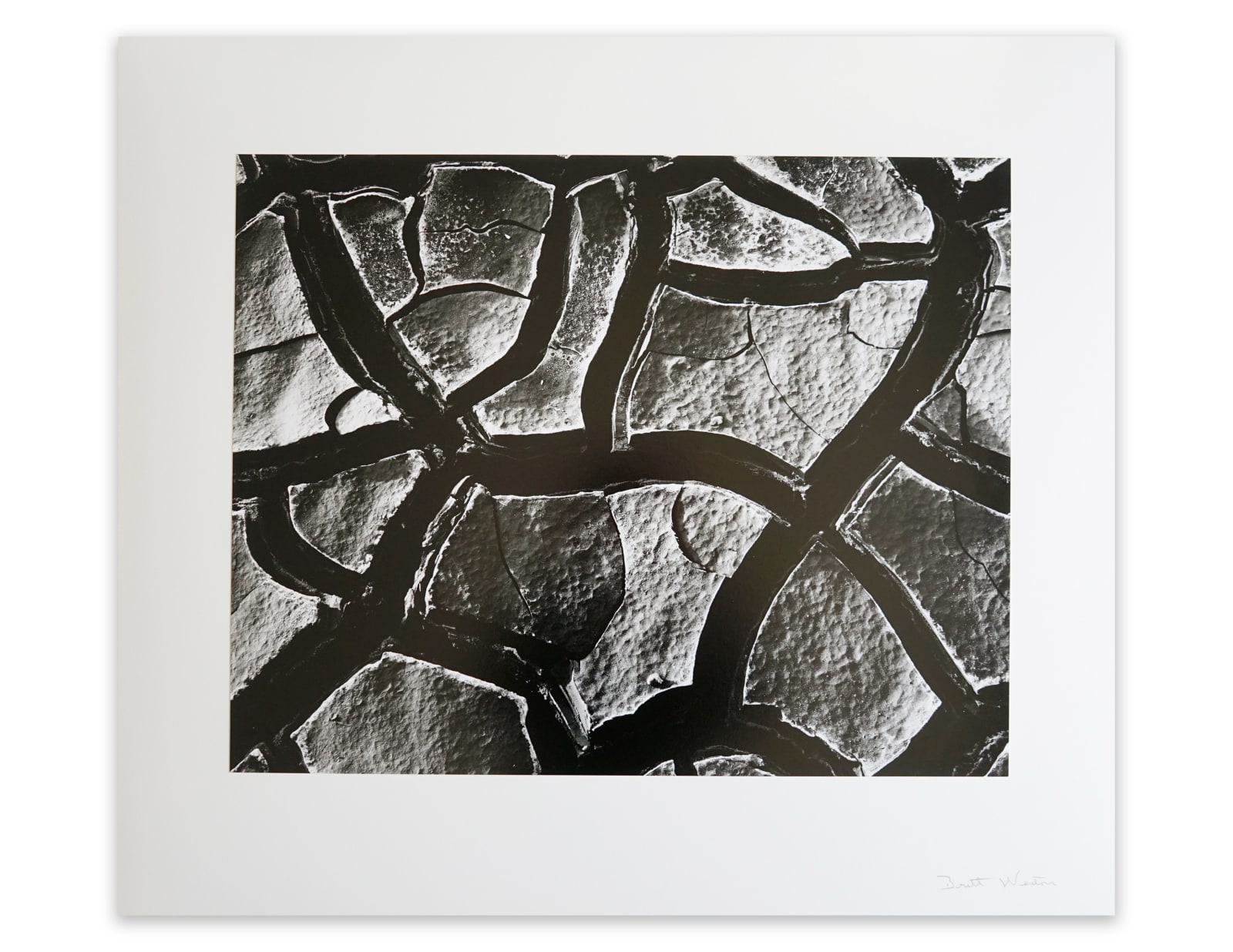 Brett Weston, Untitled