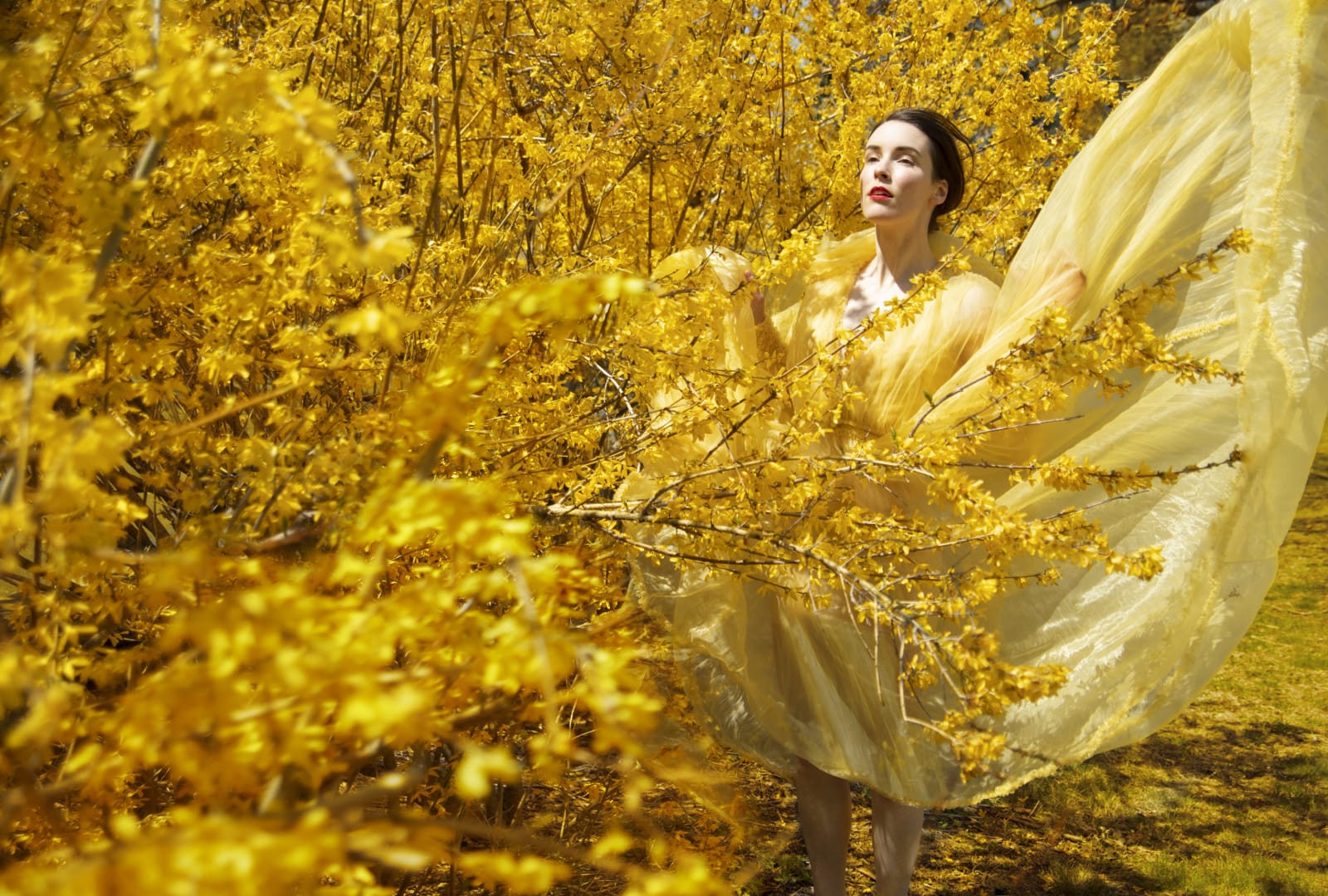 Erik Madigan Heck, Untitled, The Garden, 2019