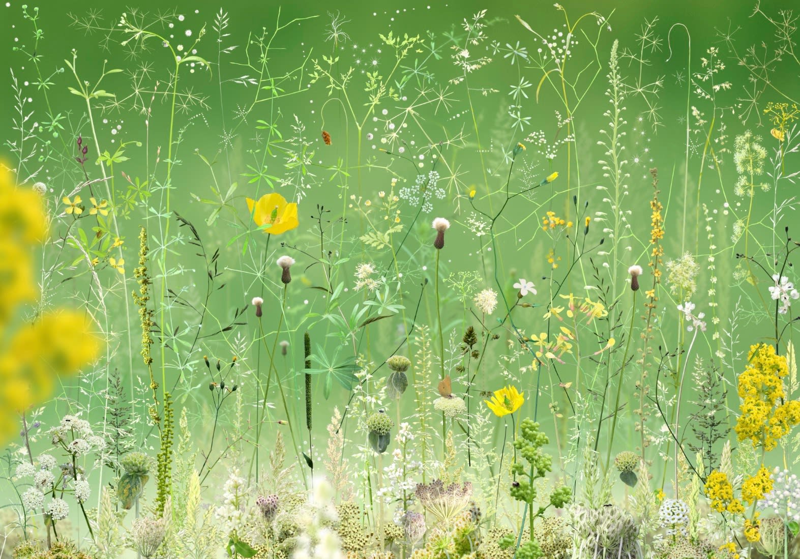 Ruud van Empel, Floresta #12, 2024