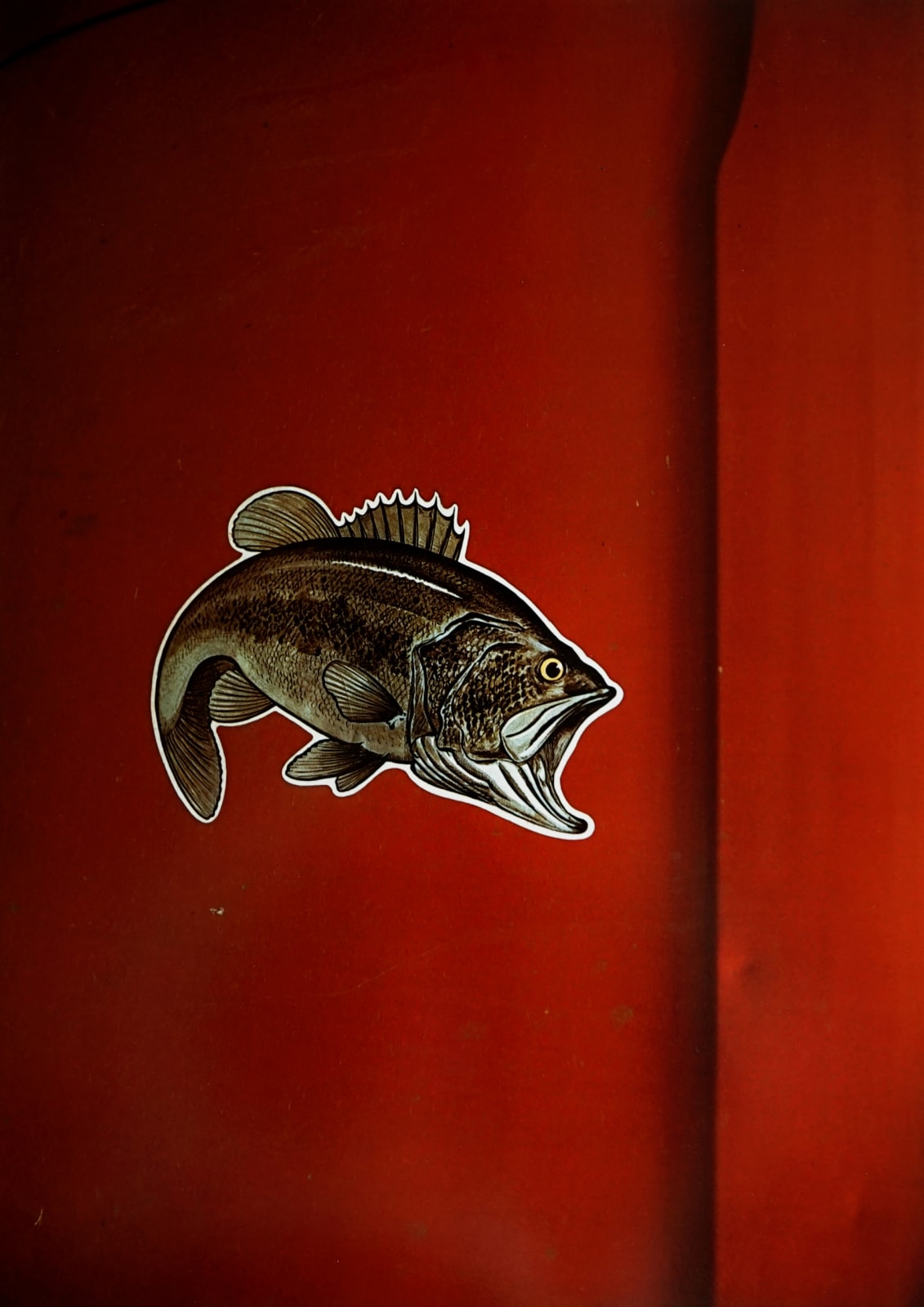 William Eggleston, Untitled from Portfolio 10.D.70.V1 (fish), 1970