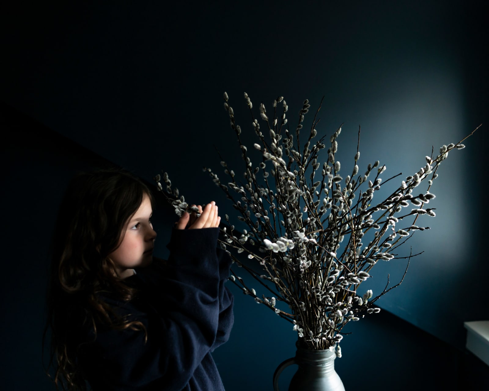 Cig Harvey, Pussy Willow, Rockport, Maine, 2020