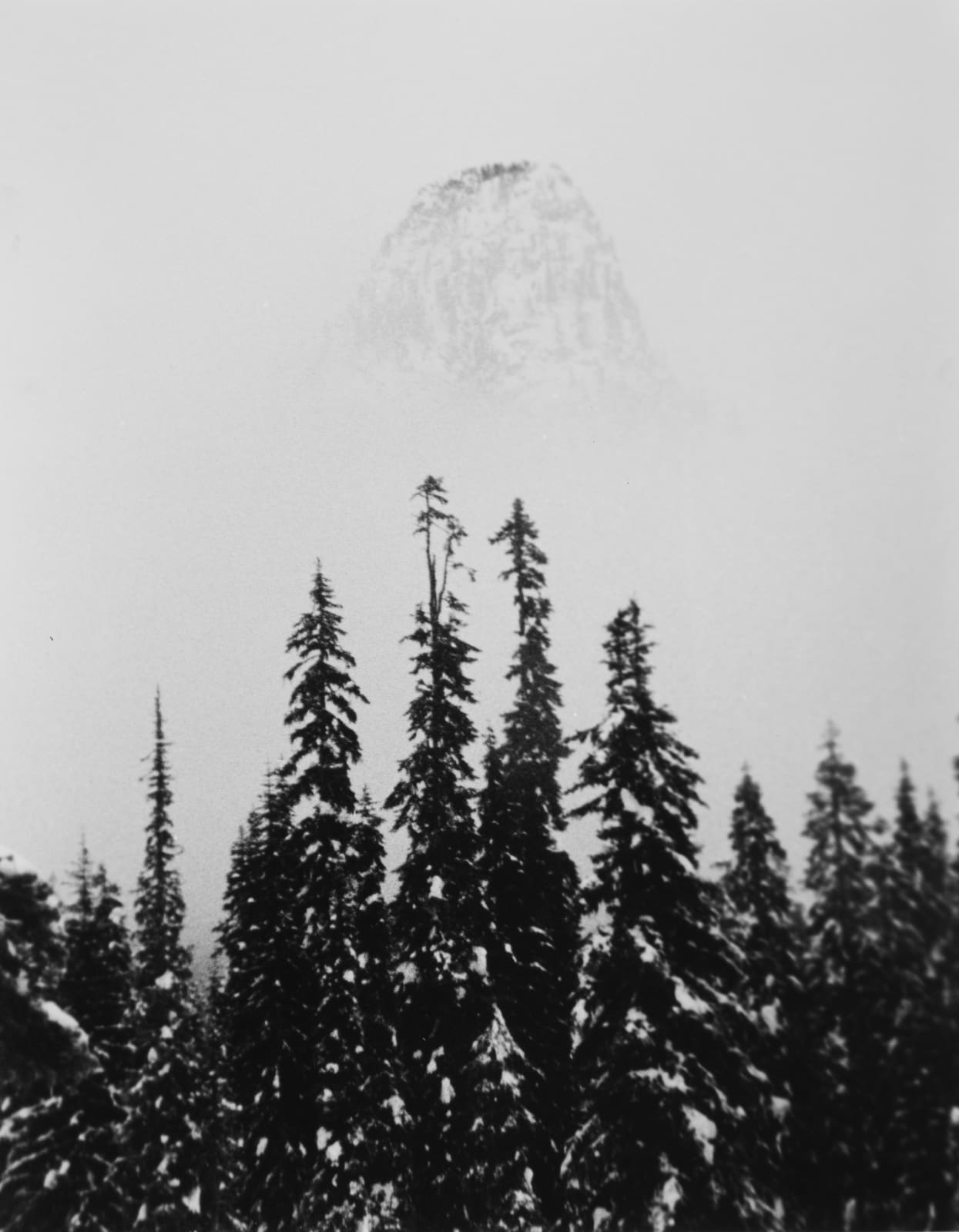 Tommy Nease, Guye, 2016