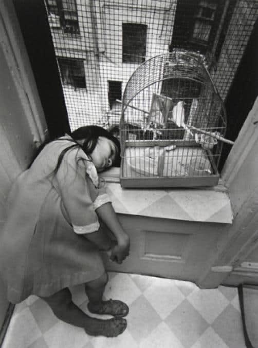 Bruce Davidson, Untitled, East 100th Street (Young Girl in Bird Cage), 1966 - 68
