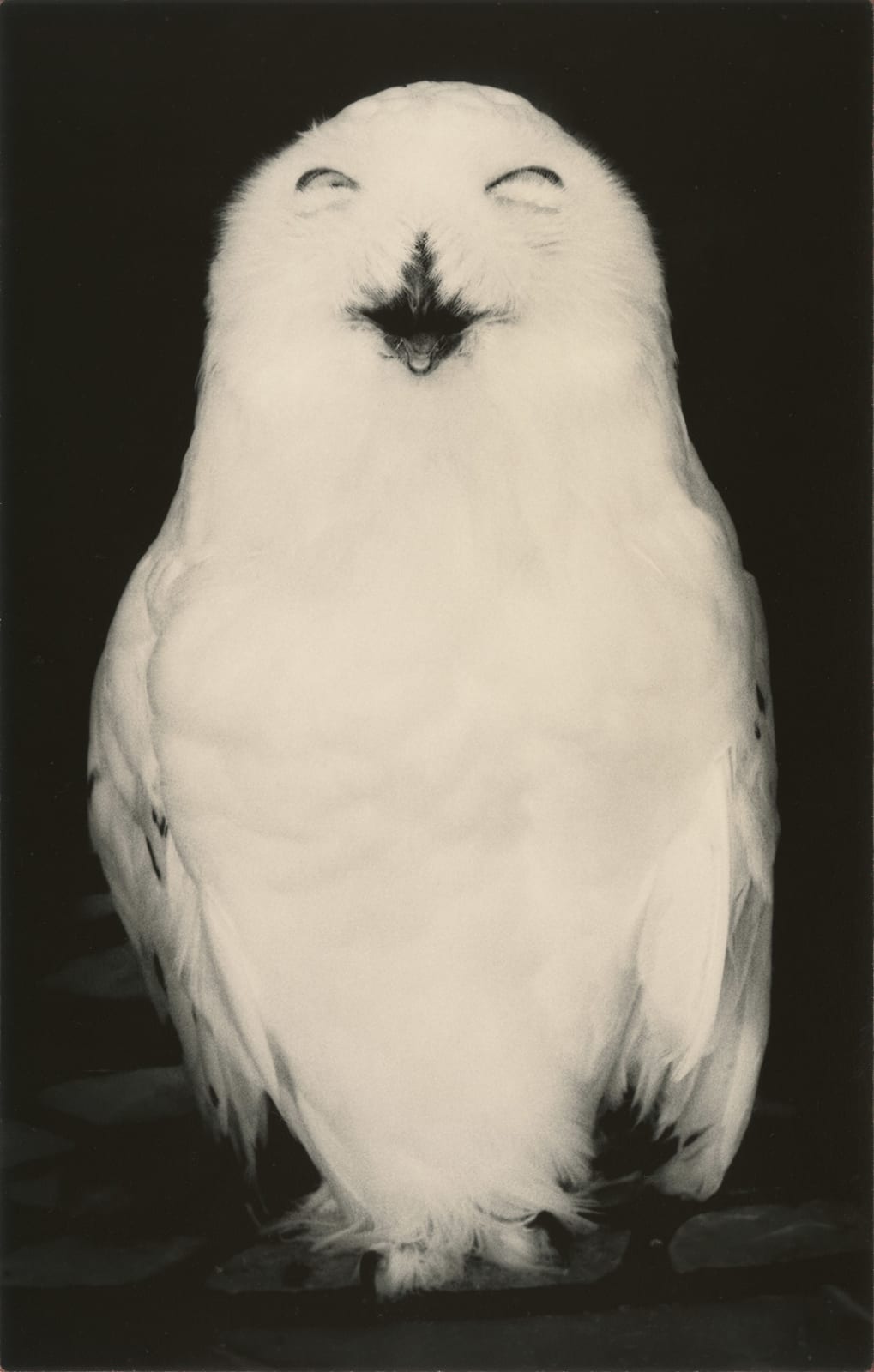 Yamamoto Masao, Kawa=Flow #1720, 2024