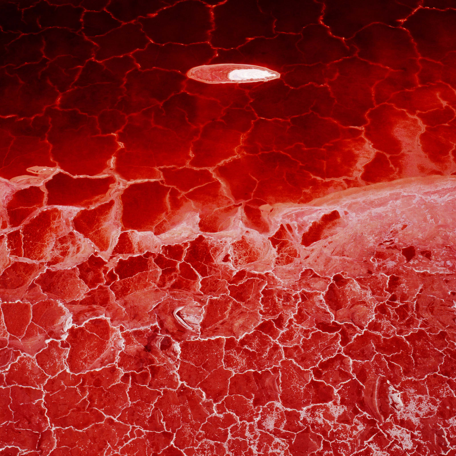 David Maisel, Lake Project #9274-5, 2001, 2003