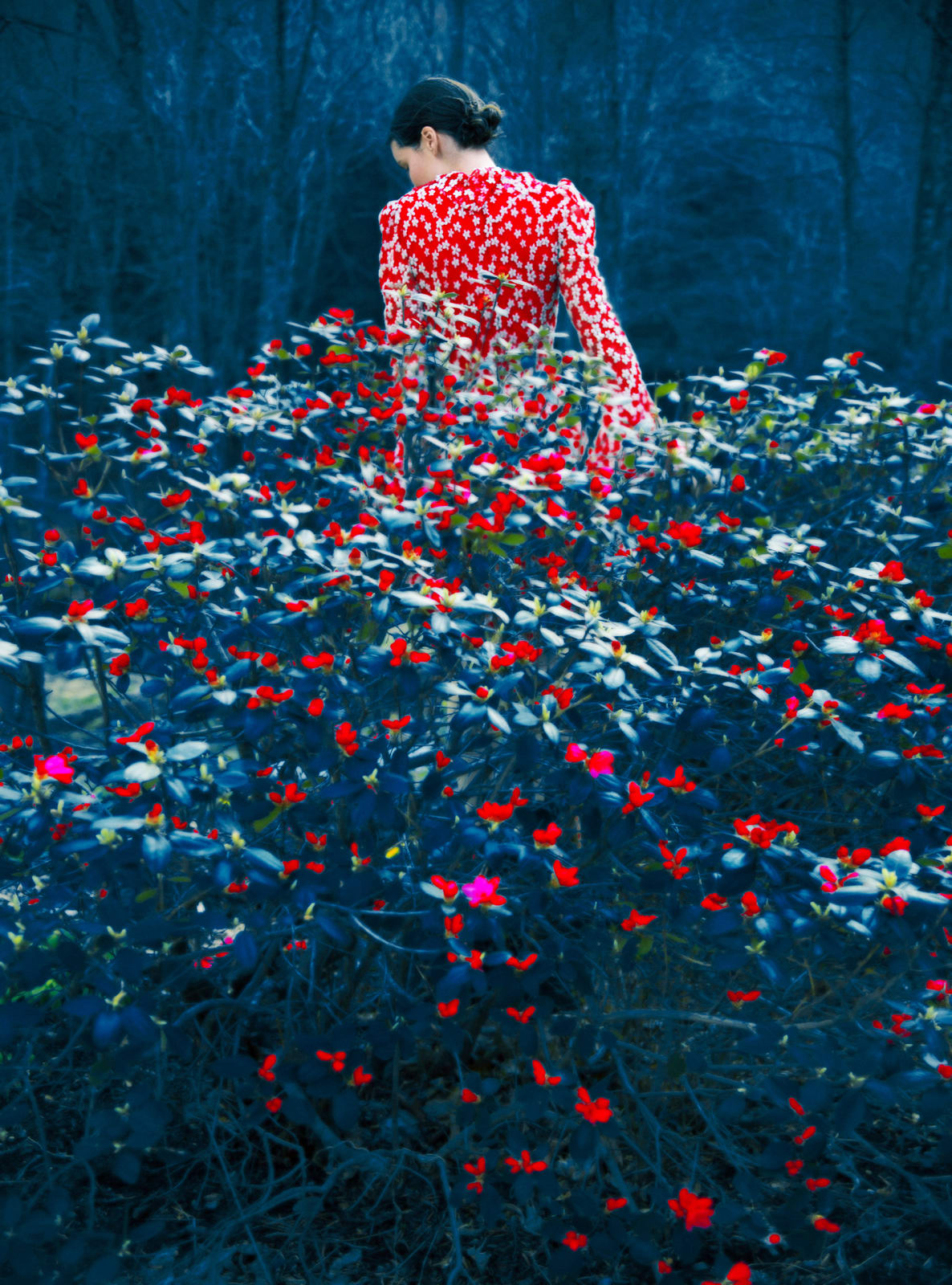 Erik Madigan Heck, Brianna Blue Dyptych Part. 1, The Garden, 2019