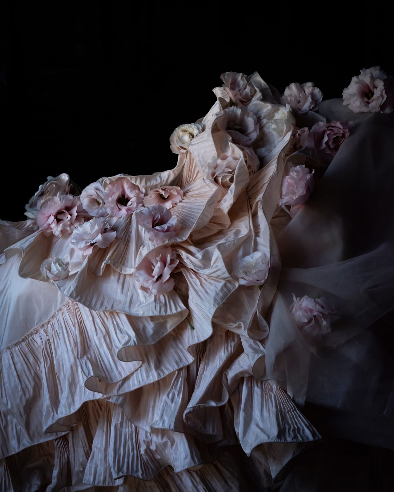 Cig Harvey, Carnations and Silk, Rockland, Maine, 2020