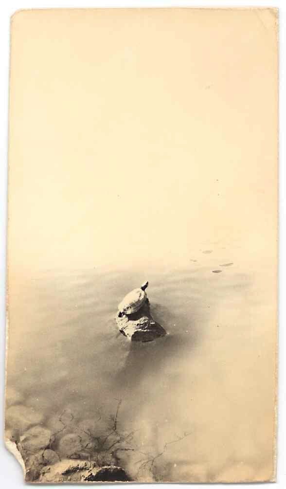 Yamamoto Masao, A Box of Ku #56