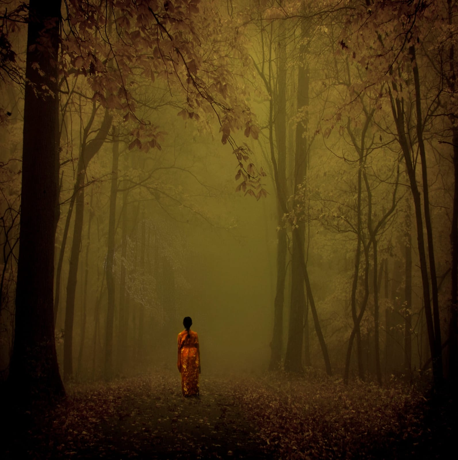 Jack Spencer, Iris in the Forest, TN, 2006