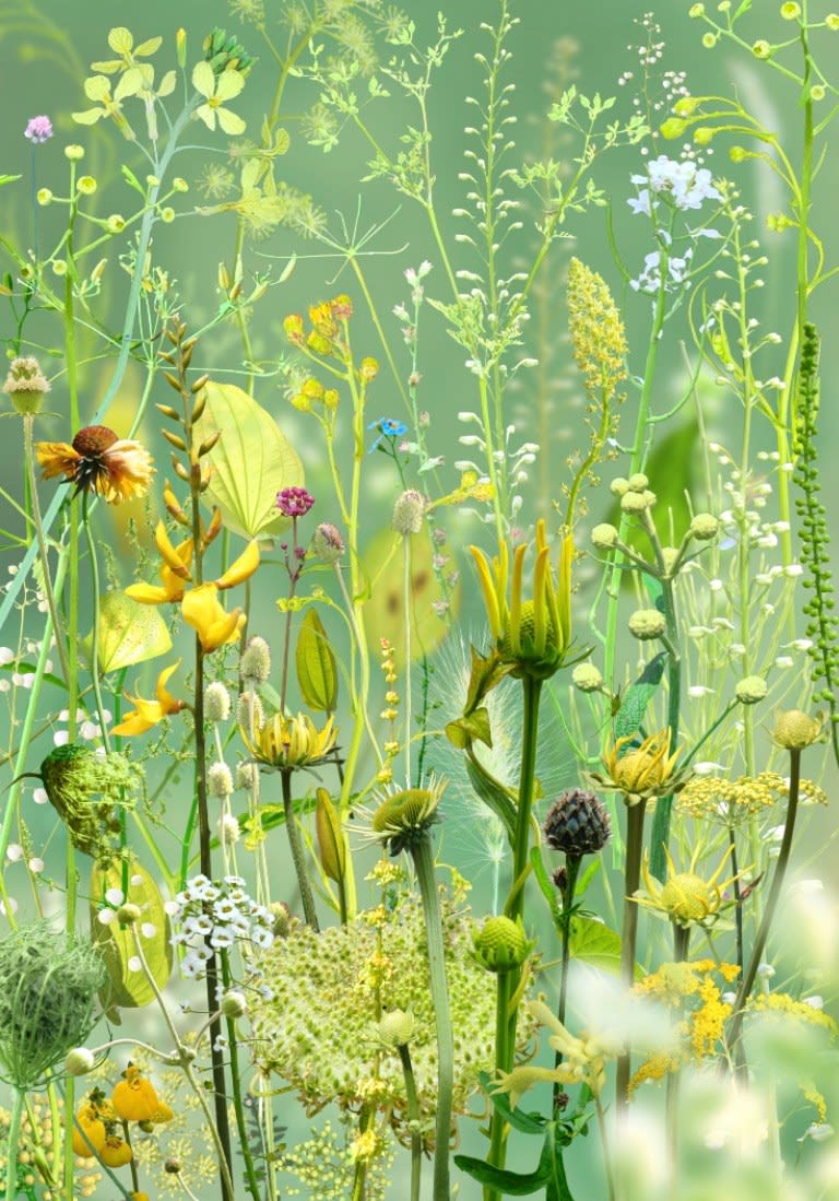 Ruud van Empel, Floresta #11, 2024