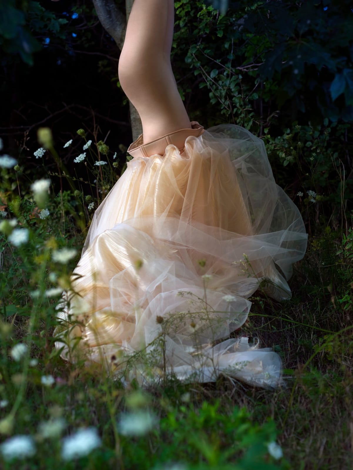 Edith Maybin, Untitled #10, The Garden Document , 2010