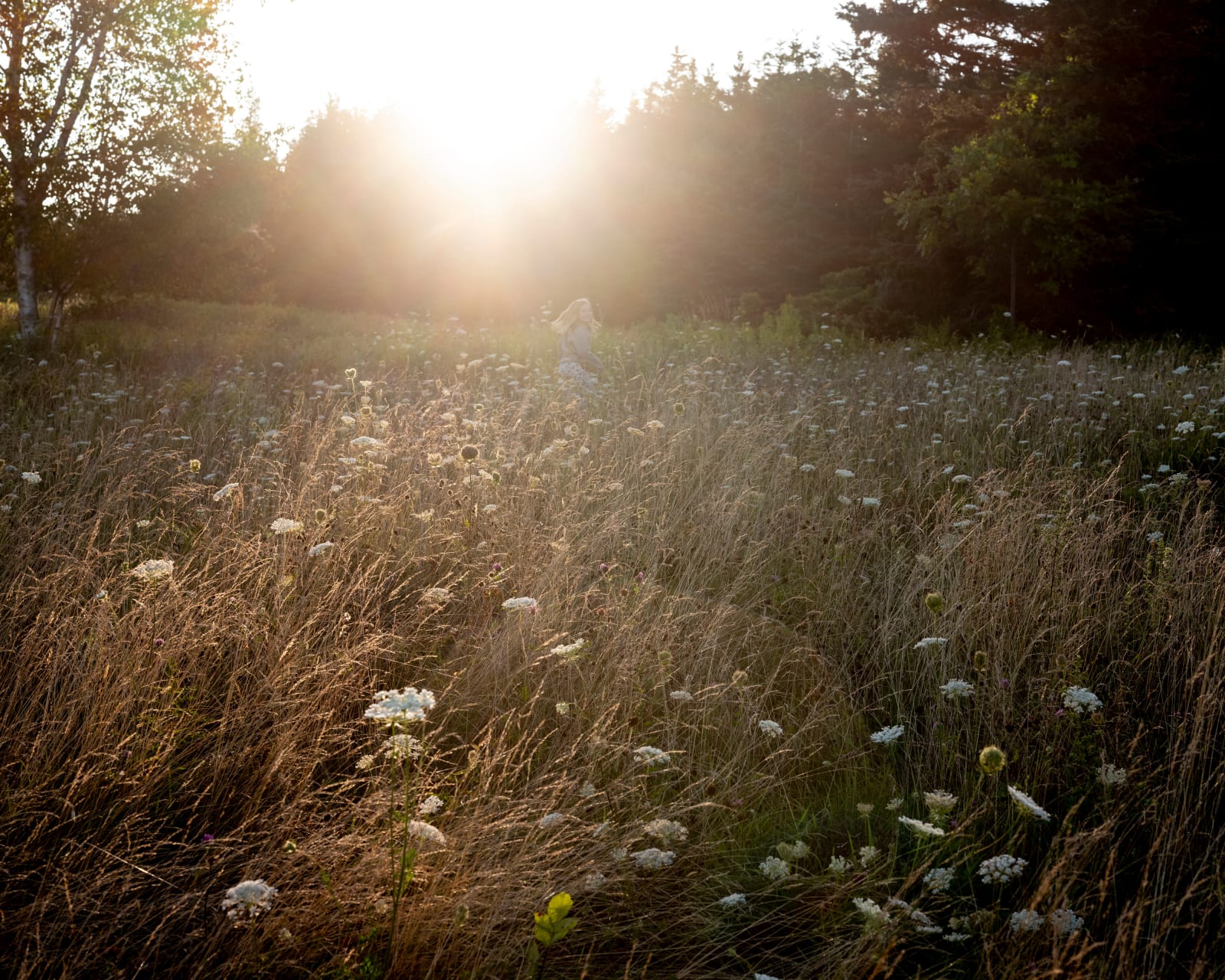 Cig Harvey, Queen Annes Lace (Pearl Running), 2019