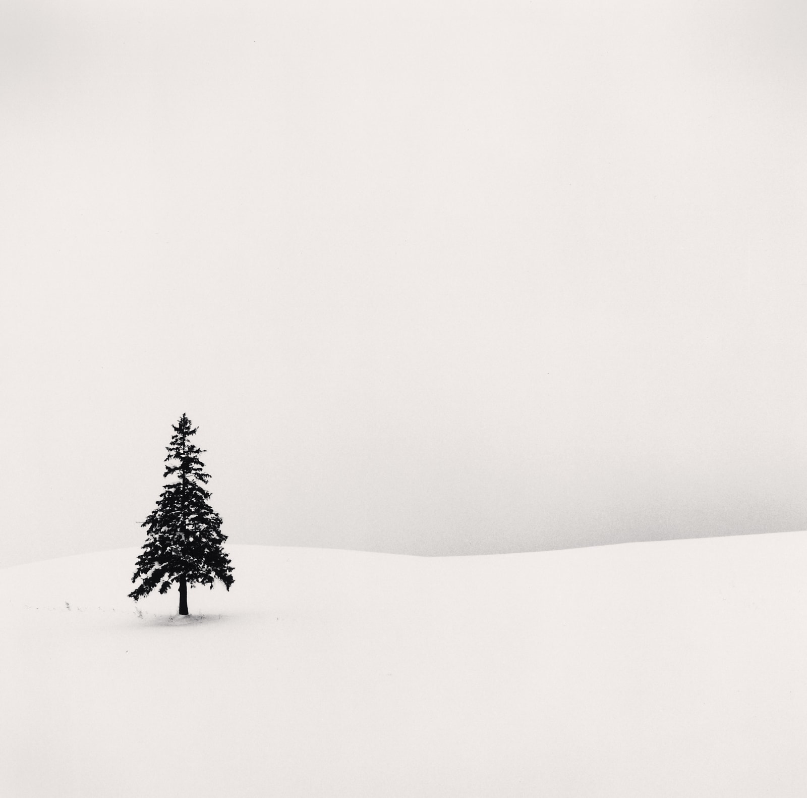 Michael Kenna, Lone Tree, Bibaushi, Hokkaido, Japan, 2004