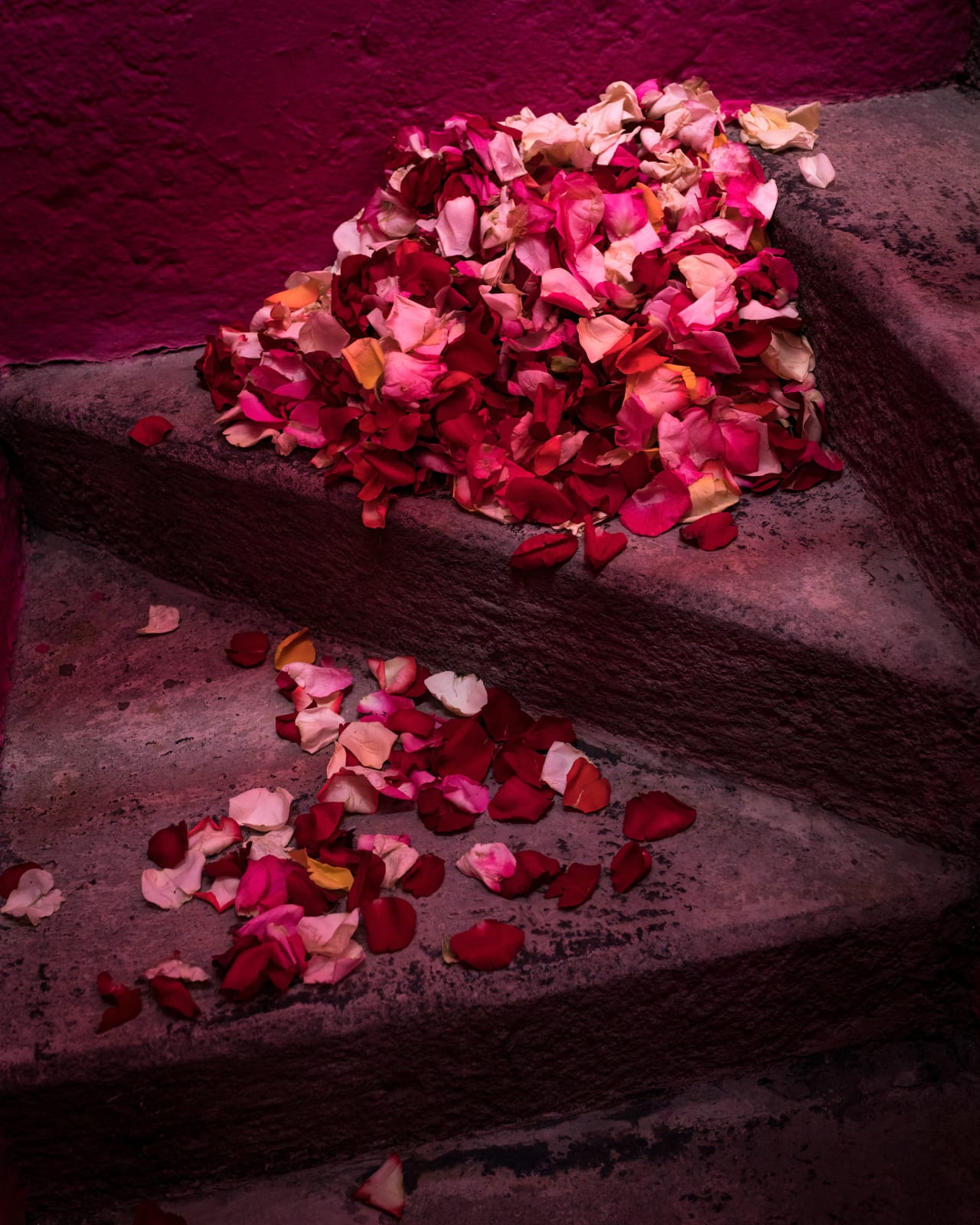 Cig Harvey, Rose Petals on the Stairs, Mexico, 2020