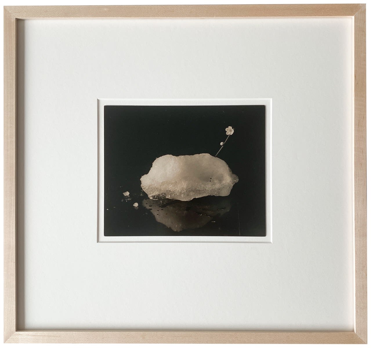 Yamamoto Masao, Tomosu #6001, 2023