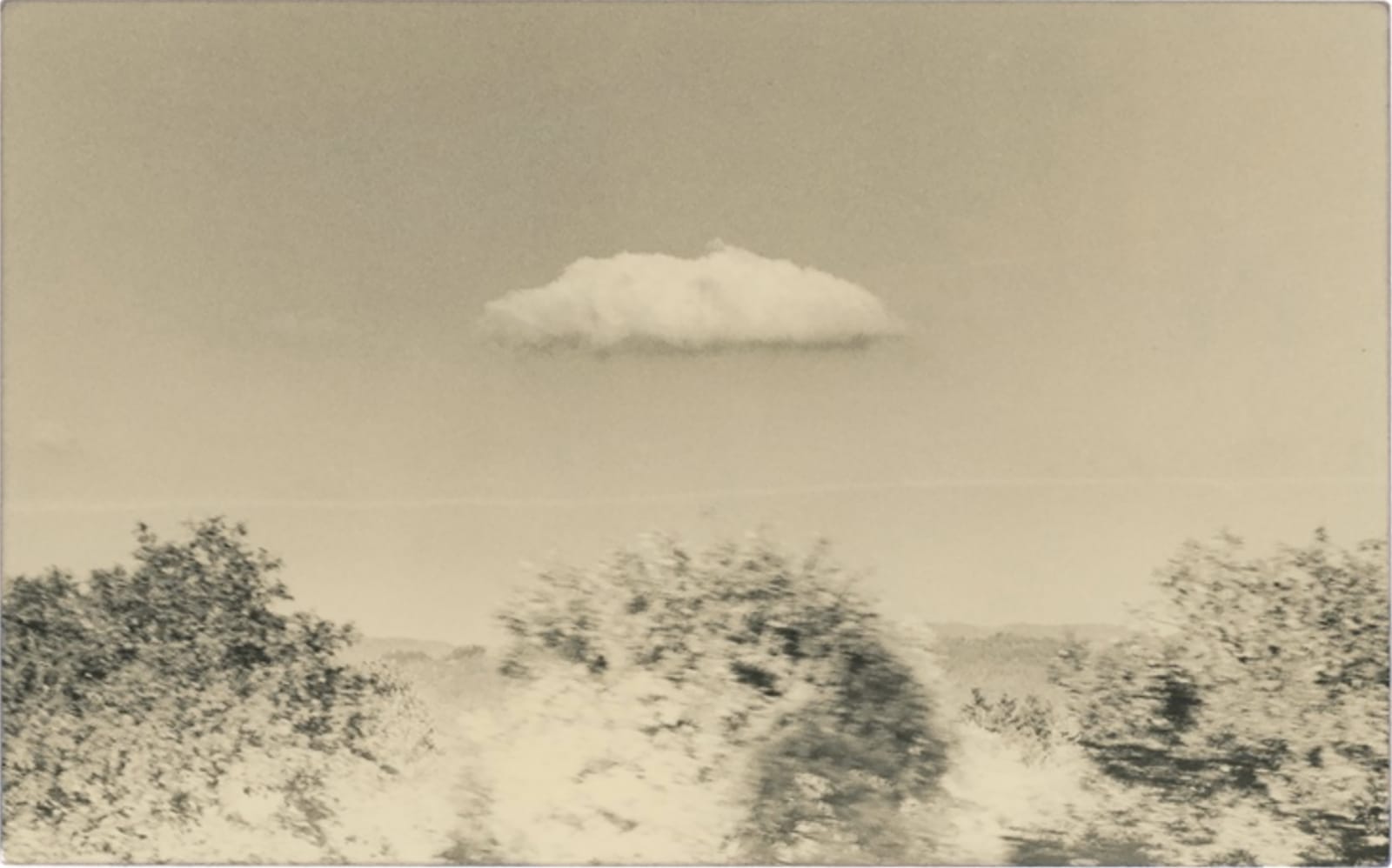 Yamamoto Masao, La Vie Simple #5046, 2021