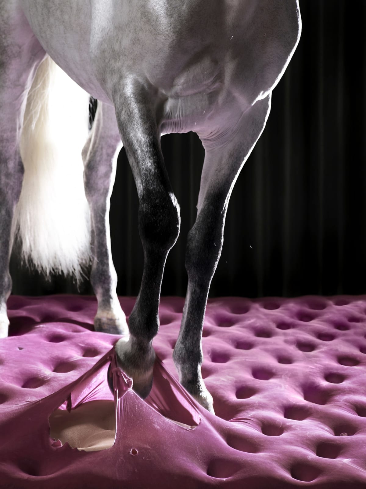 Edith Maybin, Untitled #17, The Conversation Document, 2008