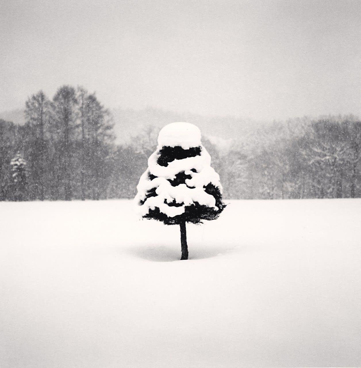 Michael Kenna, Snow Parfait Tree, Wakoto, Hokkaido, Japan, 2004