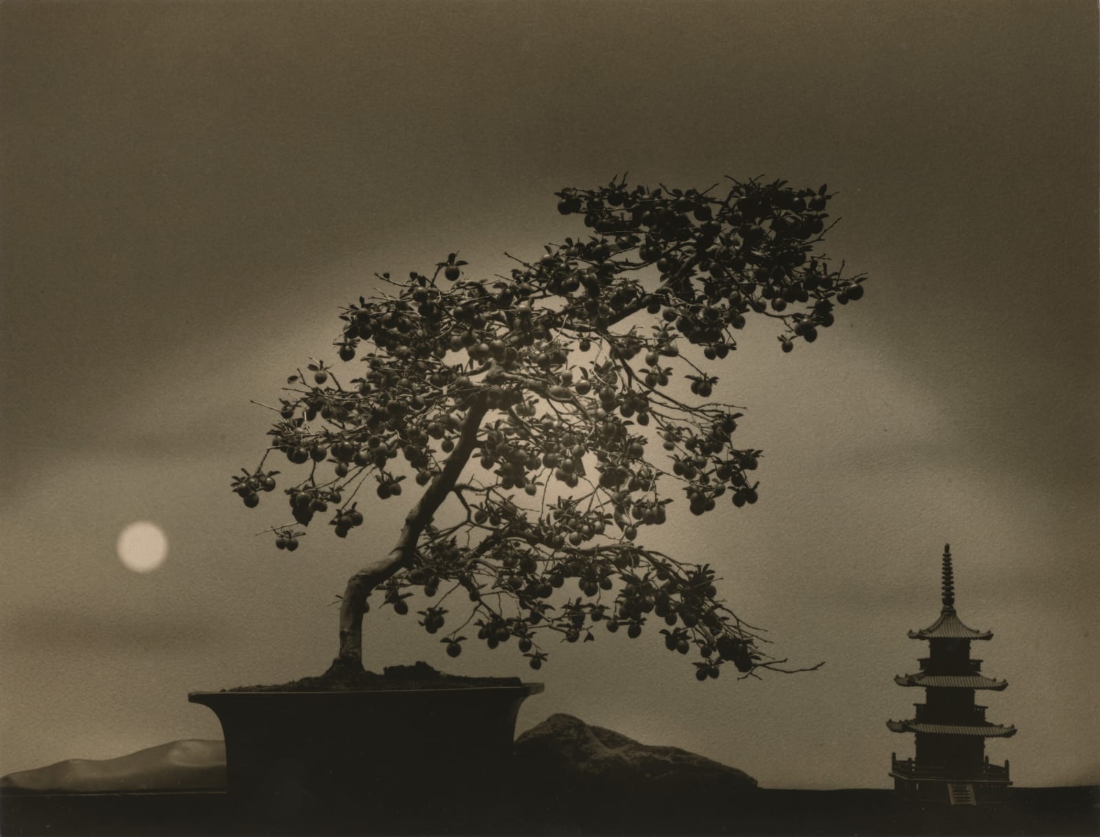 Yamamoto Masao, Bonsai #4052, 2022