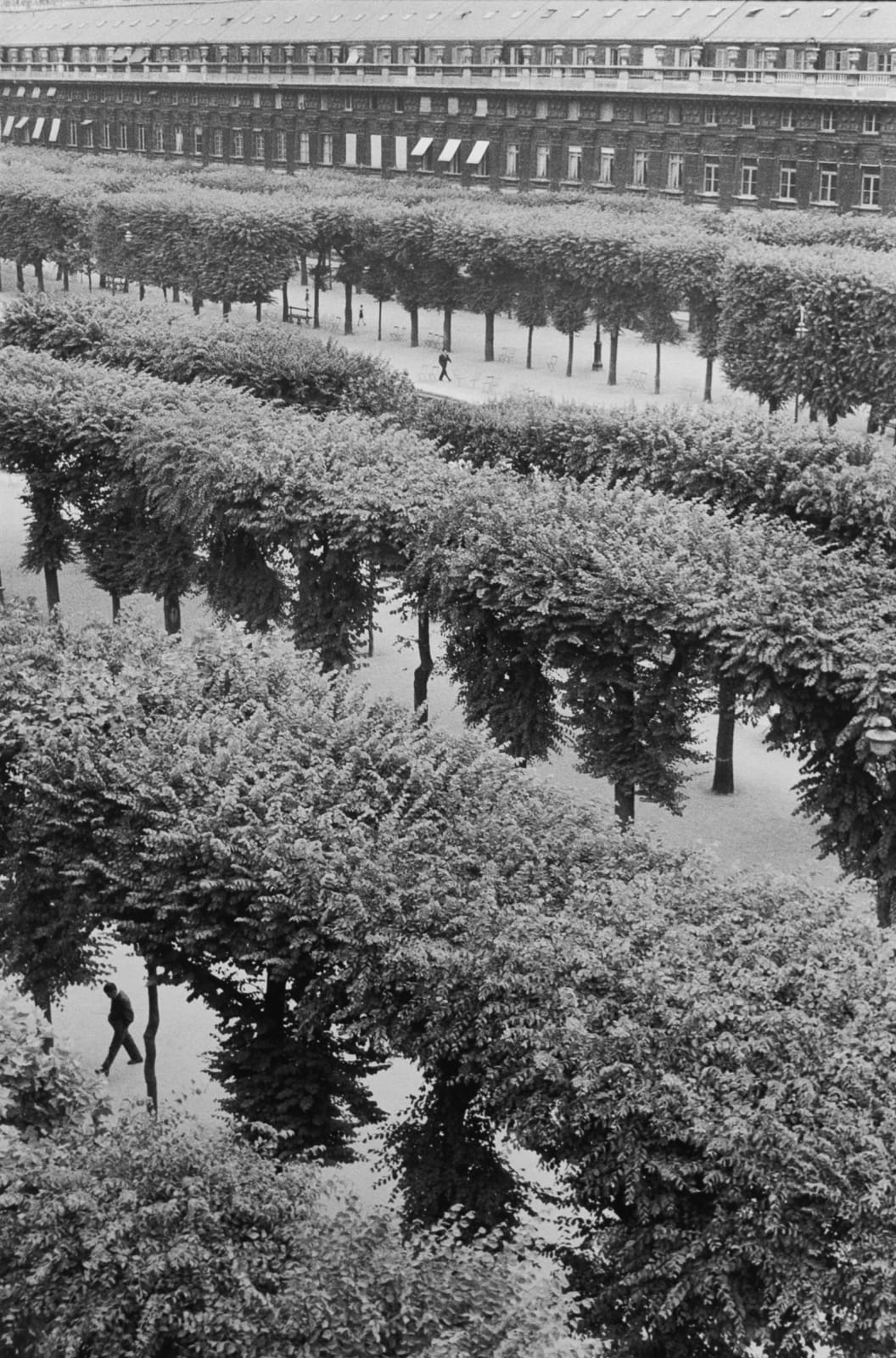 Henri Cartier-Bresson, Jardins du Palais Royal, 1959