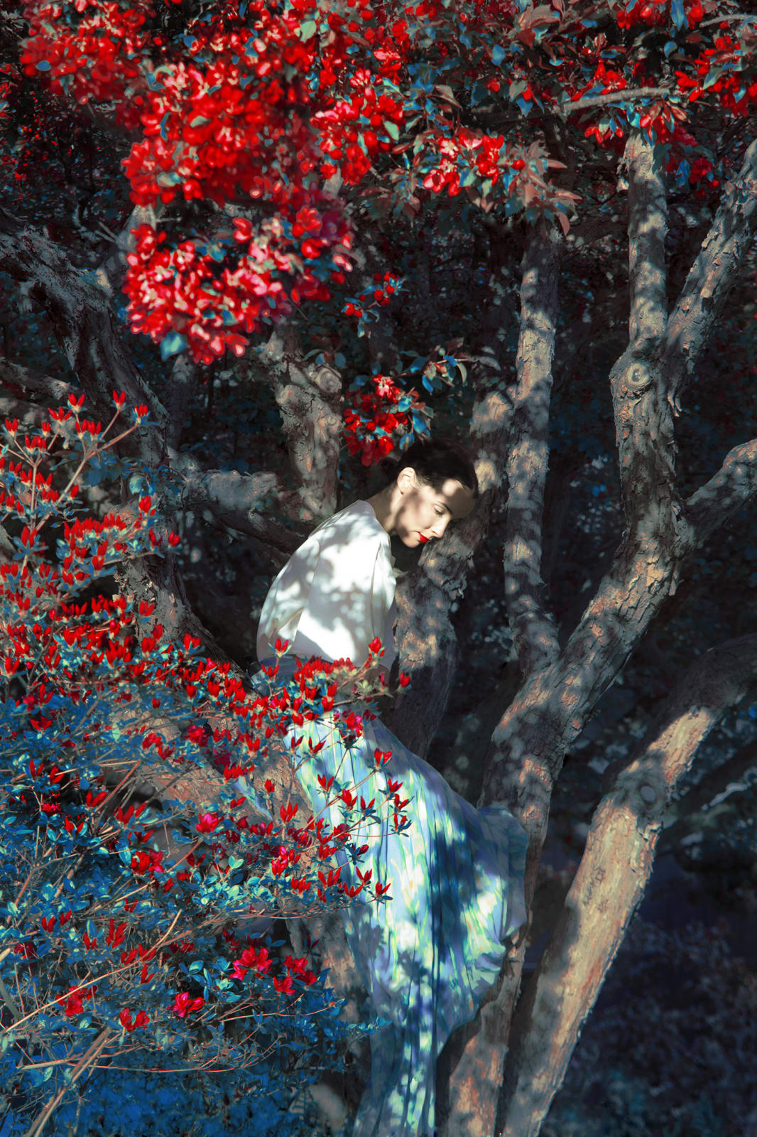 Erik Madigan Heck, Brianna sitting in Apple Orchard, The Garden, 2019