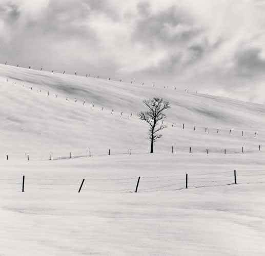 Michael Kenna, Frozen Landscape, 2002