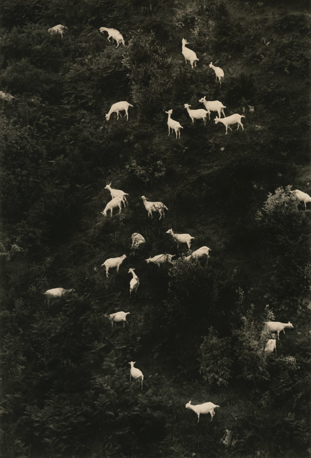 Yamamoto Masao, La Vie Simple #5022, 2021