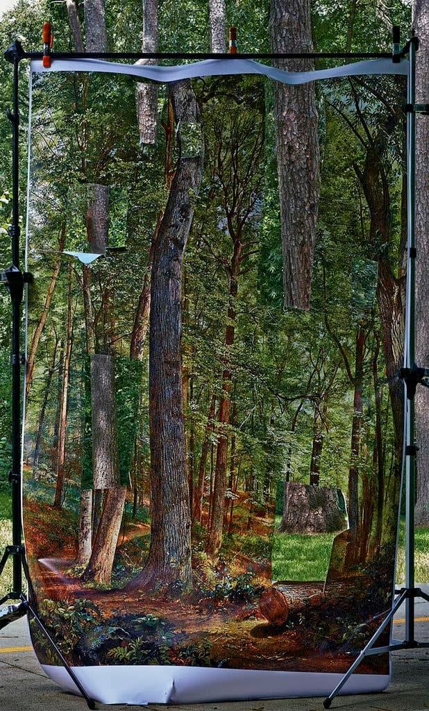 Abelardo Morell, Cutouts in Print With Pine Trees Behind, From Picturing the South, 2013